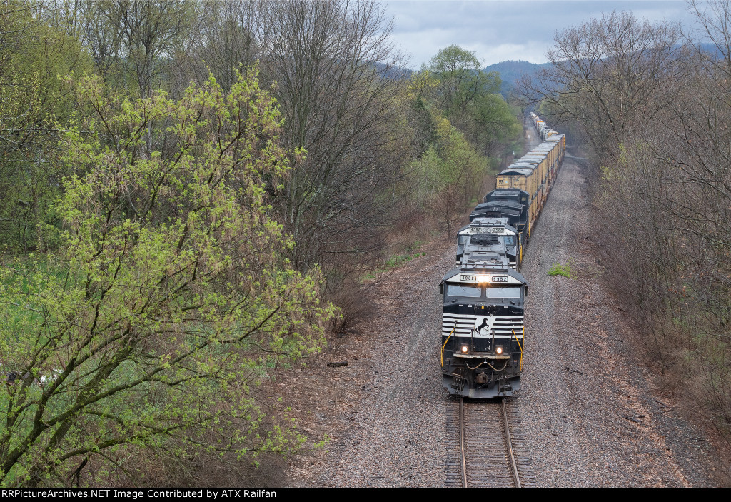 NS 6952